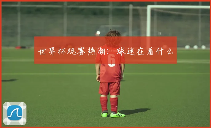 世界杯观赛热潮:球迷在看什么