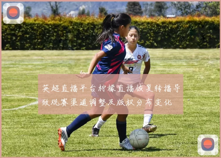 英超直播平台柠檬直播恢复转播导致观赛渠道调整及版权分布变化