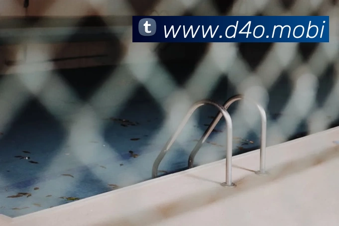 人人体育 - 无插件NBA直播|足球直播|人人体育官方球赛直播平台生态图